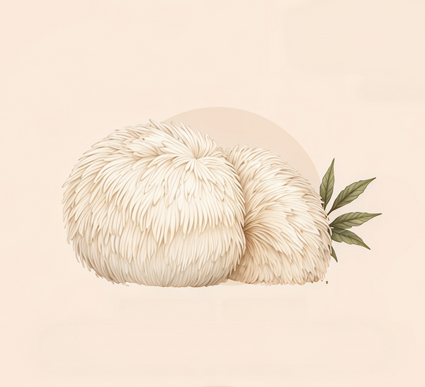 LION’S MANE