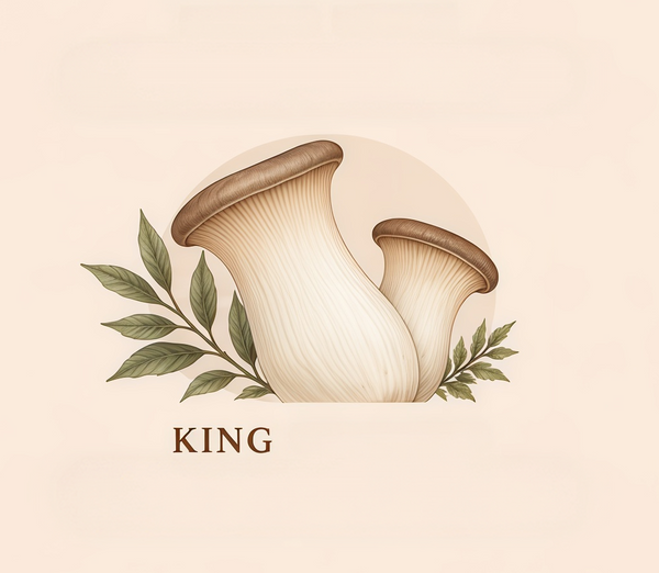 KING TRUMPET